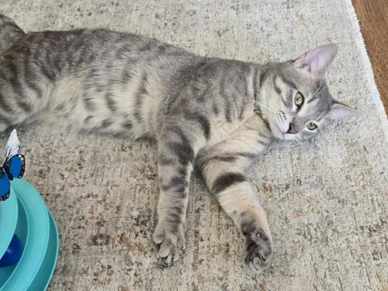 Bruno Mars - Photo 2