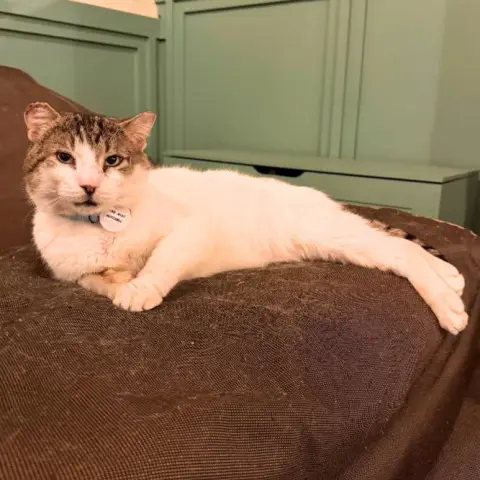 Mad Mott thumbnail 2