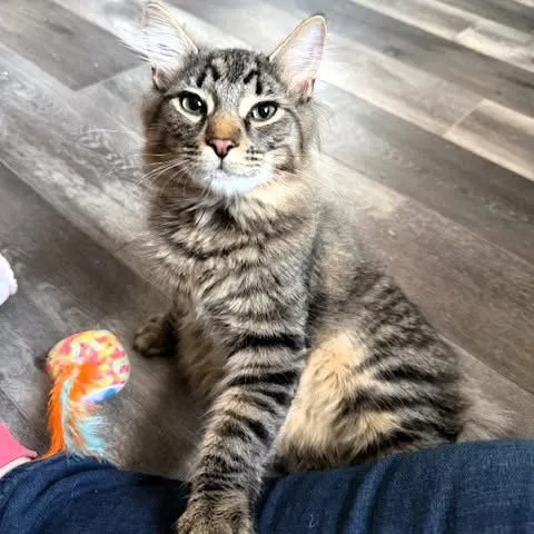 Whiskey & Bourbon - Photo 2