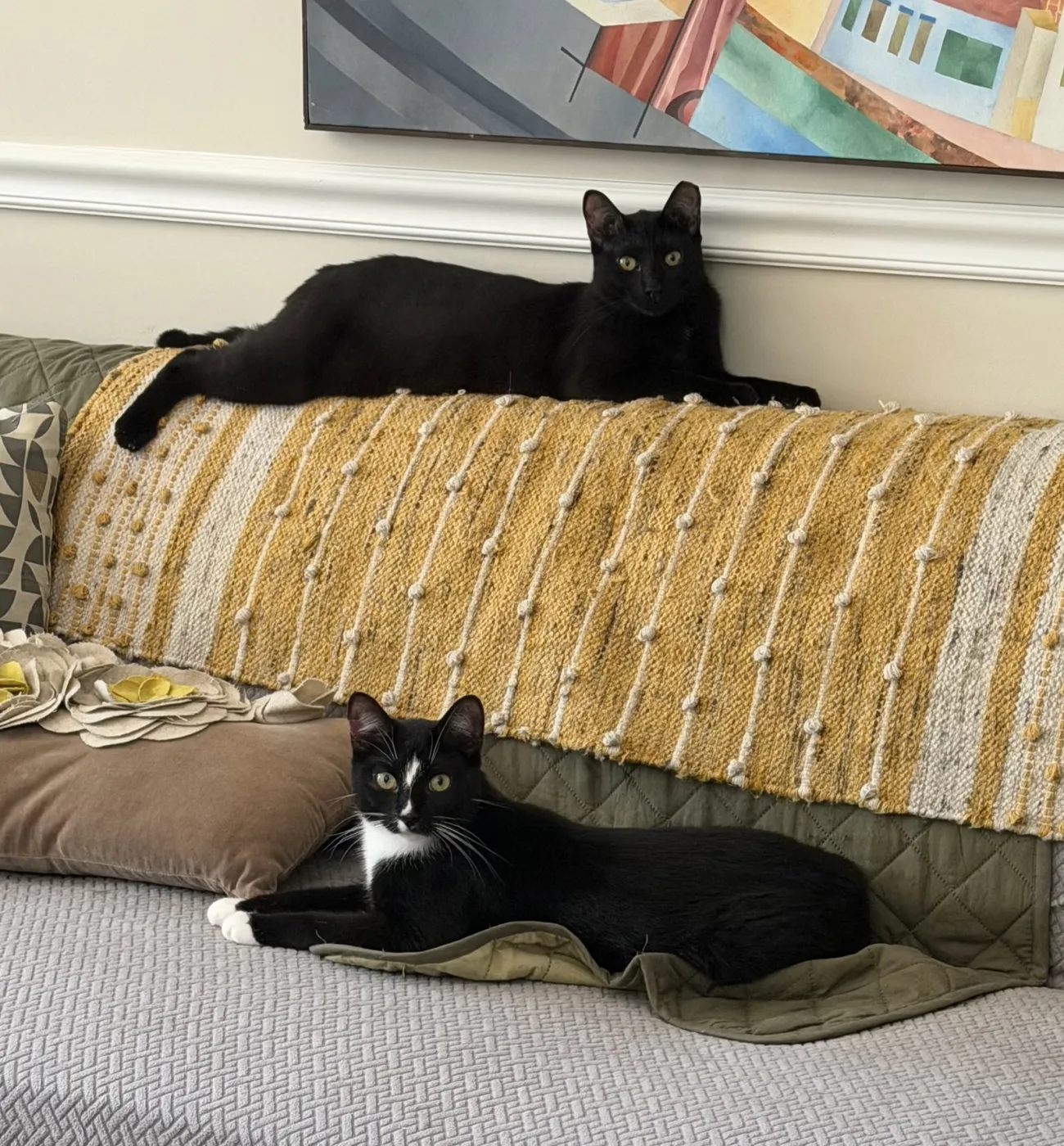 Midnight & Alex - Photo 1