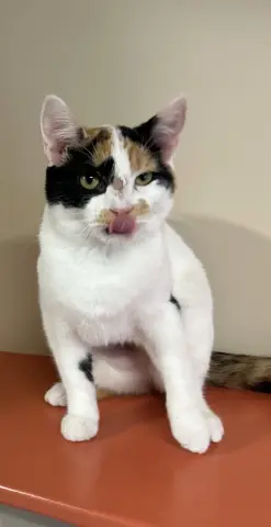 Bernadette thumbnail 2