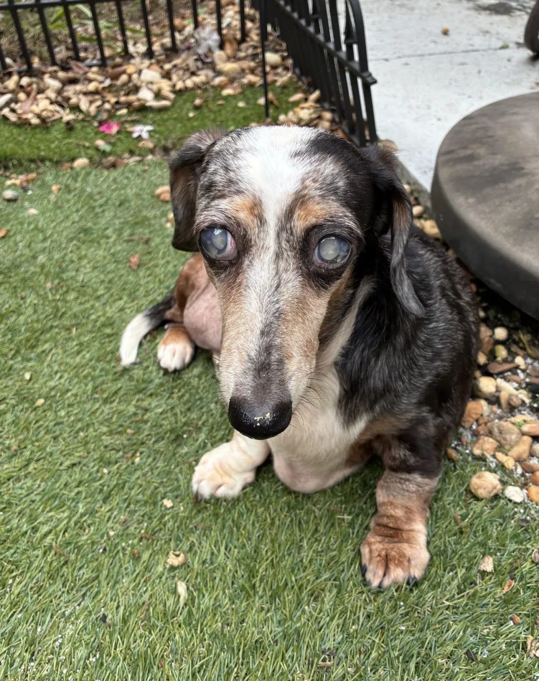 Miss Rachel - Photo 2