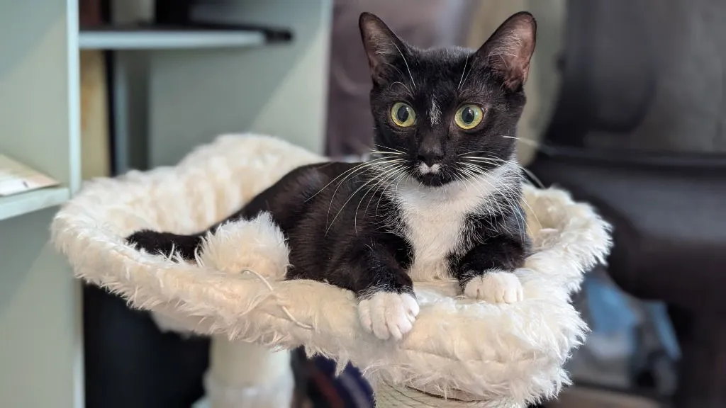 Darby Rose - Photo 3