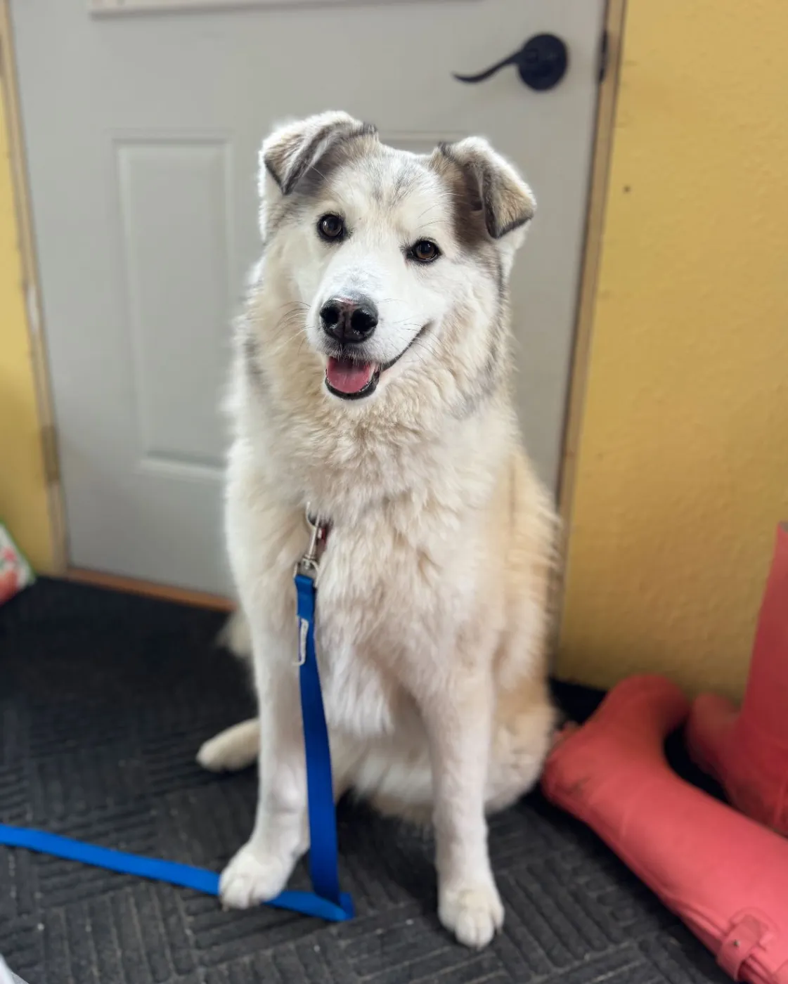 Sallie Mae - Photo 1