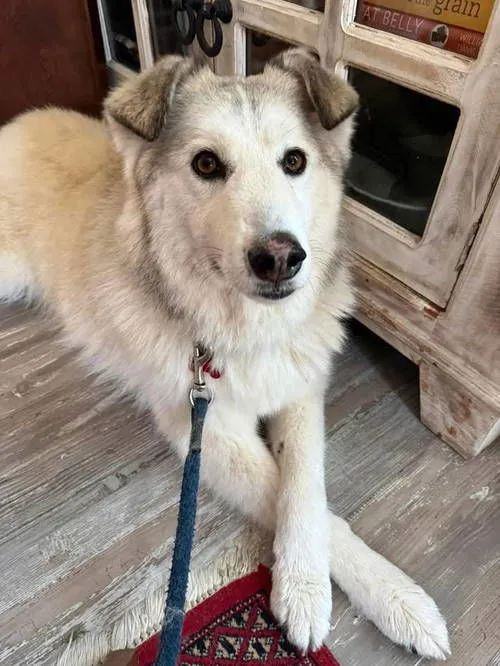 Sallie Mae - Photo 2