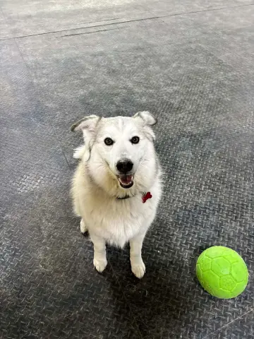 Sallie Mae thumbnail 3