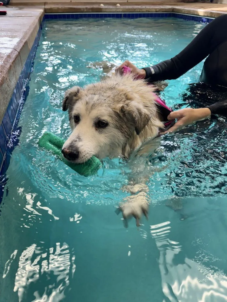 Sallie Mae - Photo 4