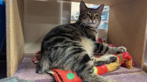 Bobbie Jo thumbnail 2