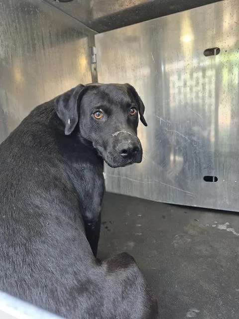 Upup Anaway - Photo 1