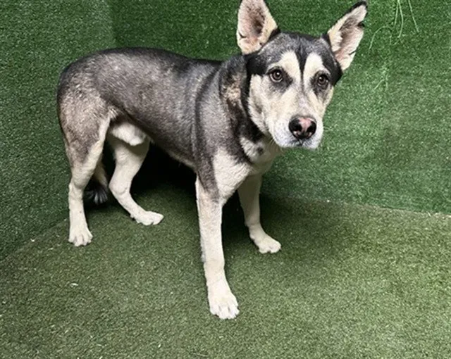 Murphy Lee - Photo 1