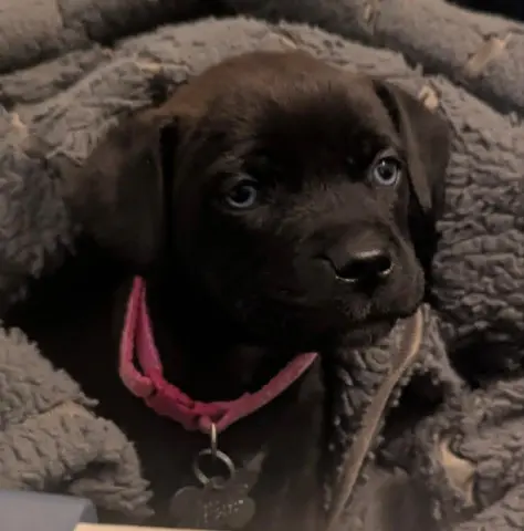 Guinness thumbnail 3