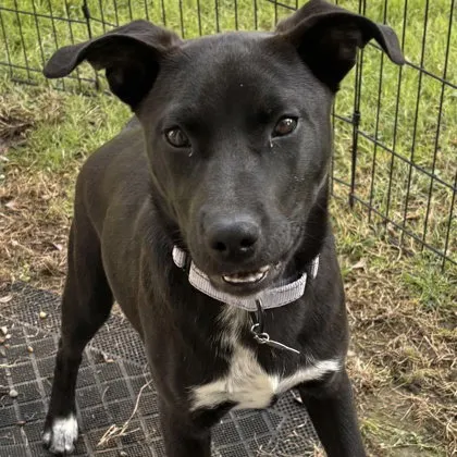 Patsy Cline - Photo 1