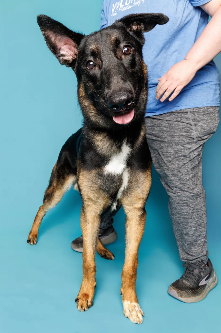 The Viscount - Photo 1