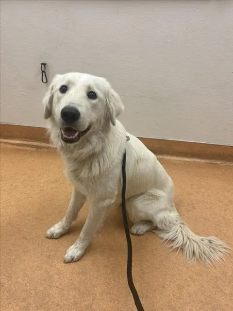 Smokestack - Photo 1