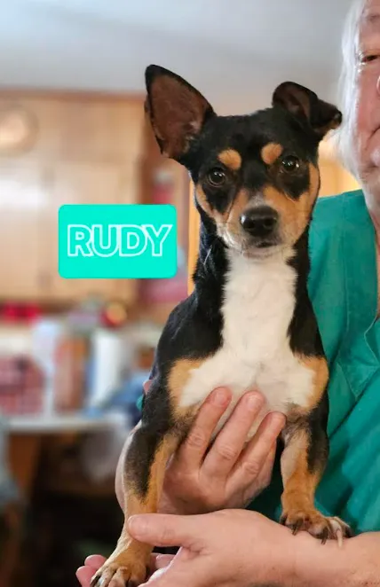 Rudy - Photo 1