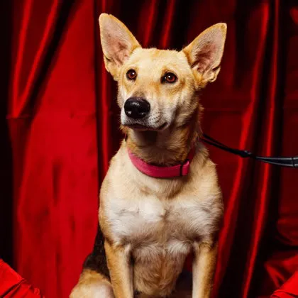 Lilly Bell - Photo 1