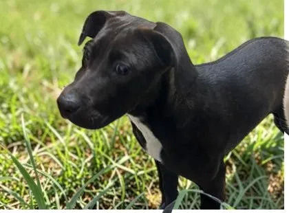 Billie Eilish - Photo 1