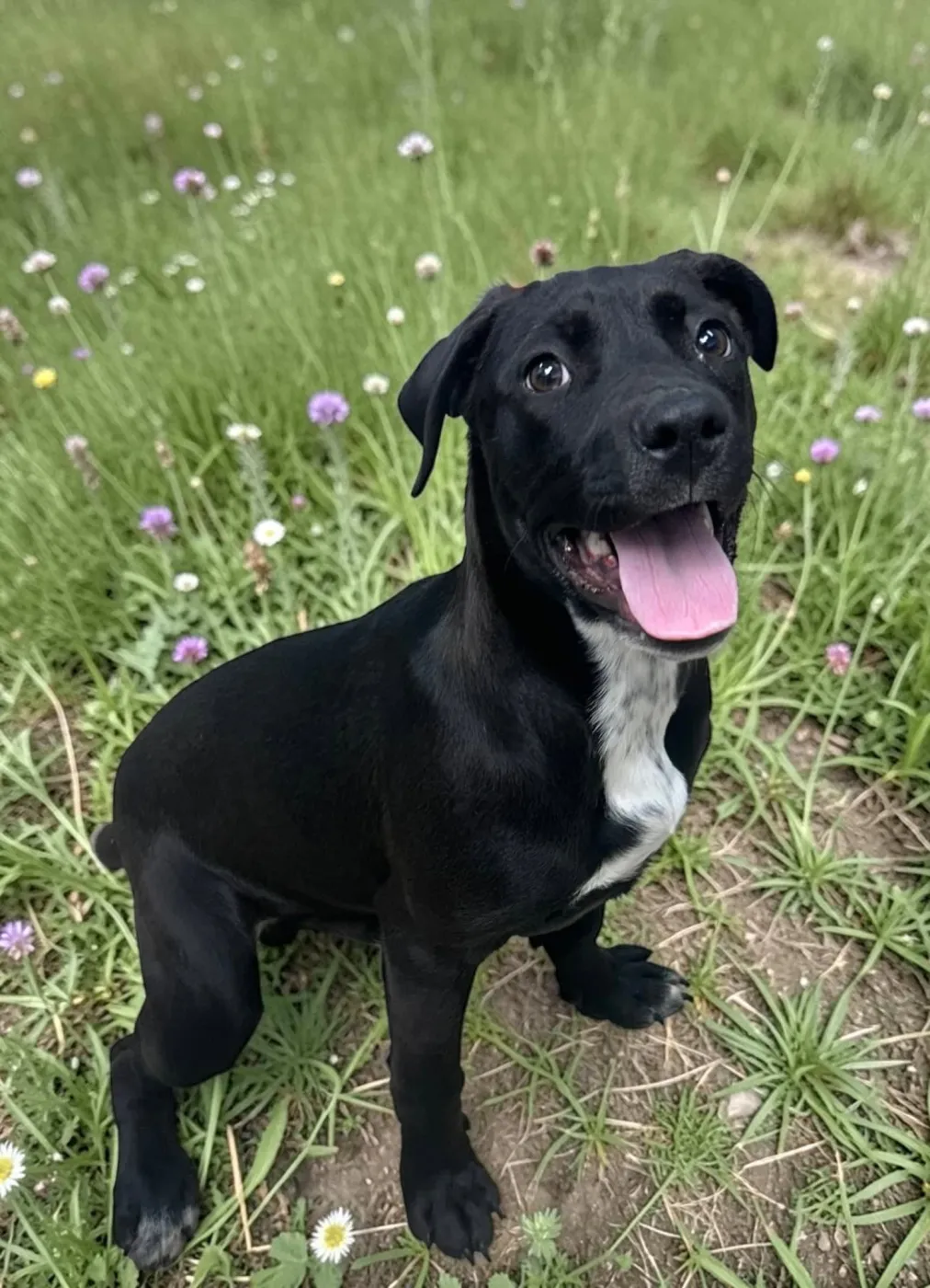 Kevin Gates - Photo 1