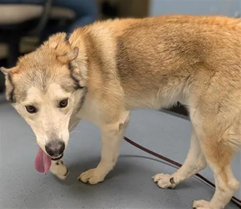 Microsoft Word - Photo 1