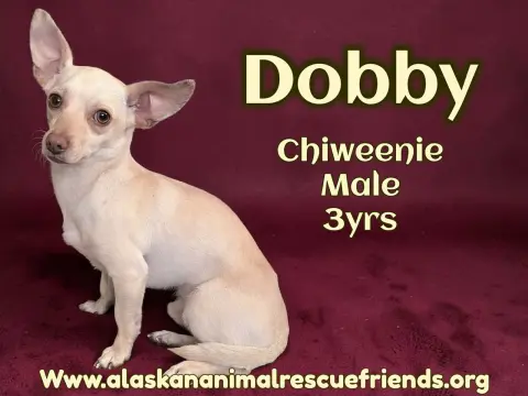 Dobbie