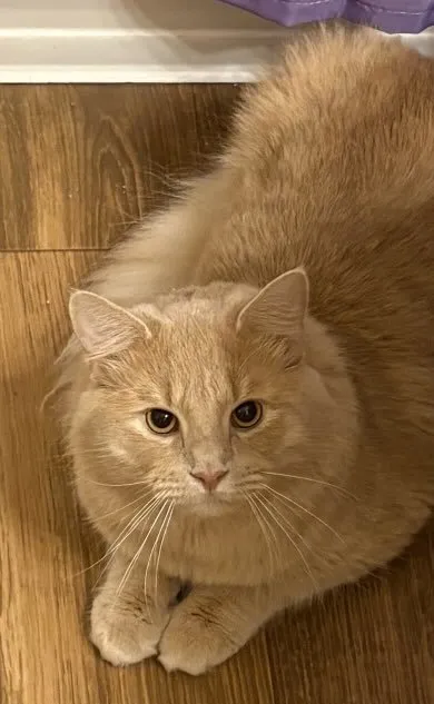 Ferris Beuller - Photo 1