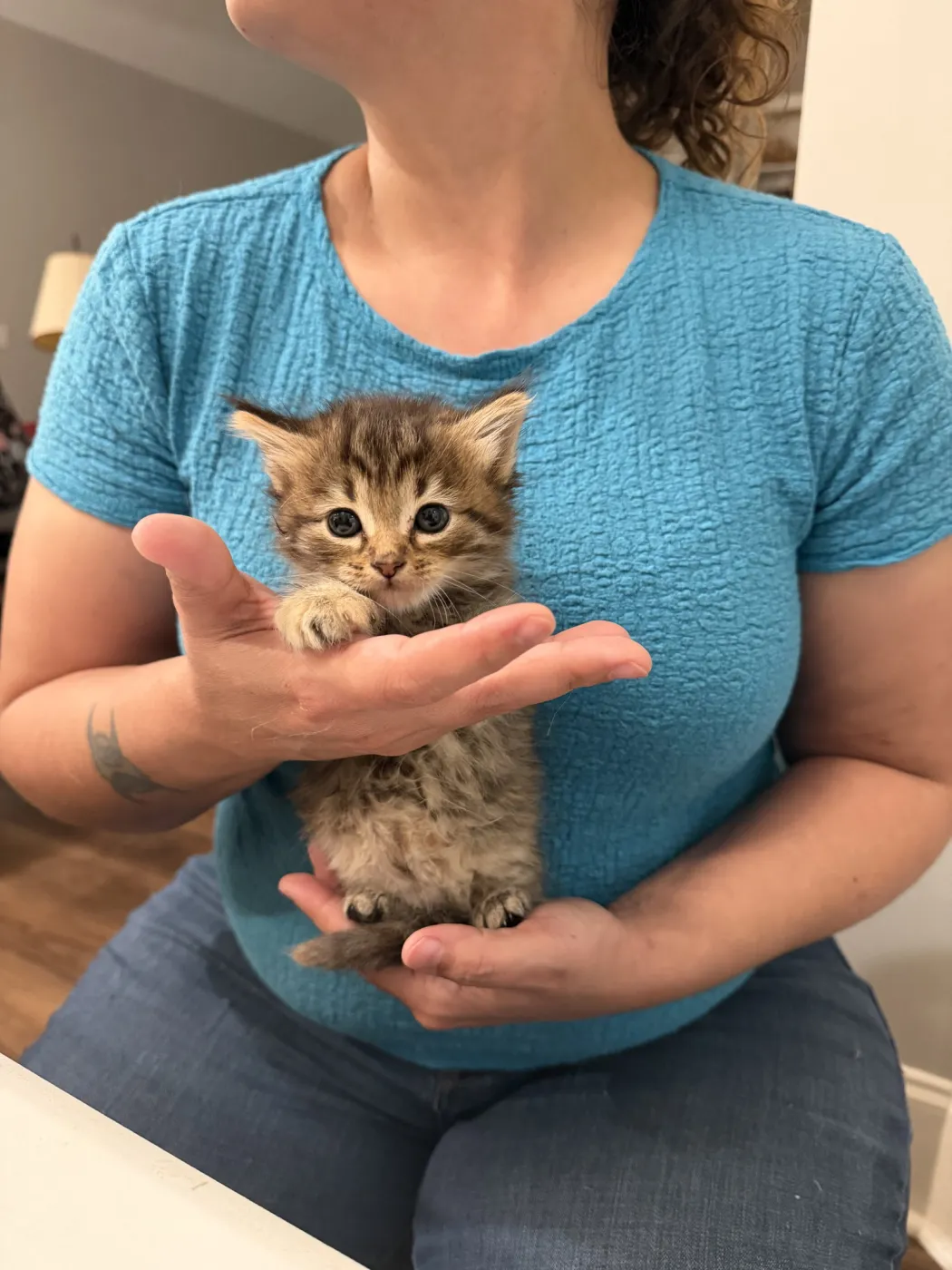 Love Shack - Photo 1