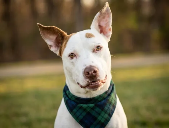 Charlie Scene - Photo 1