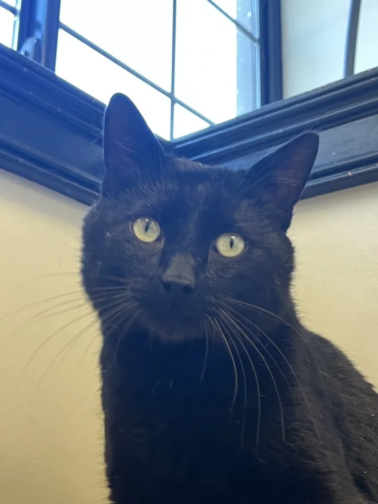 Bill Murray - Photo 1