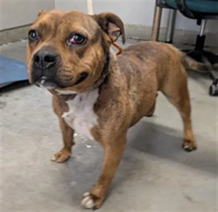 Dolly Parton - Photo 1