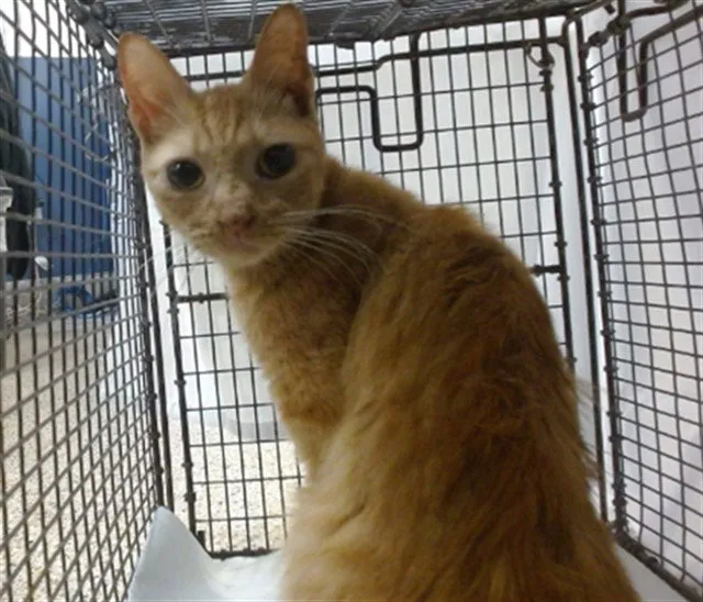 Ms. Purrington - Photo 1