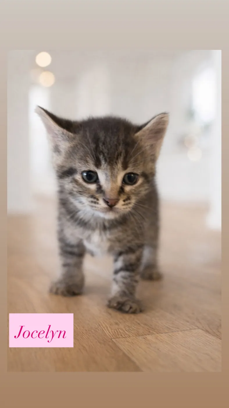 Jocelyn - Photo 1