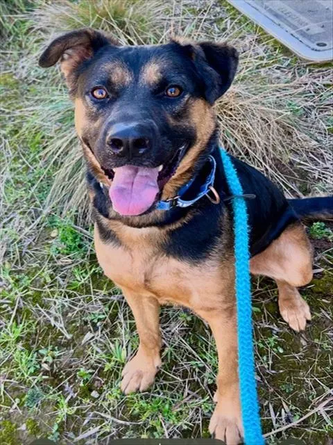 Aquamarine - Photo 1