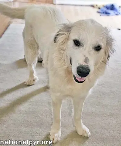 Pretty Girl thumbnail 3