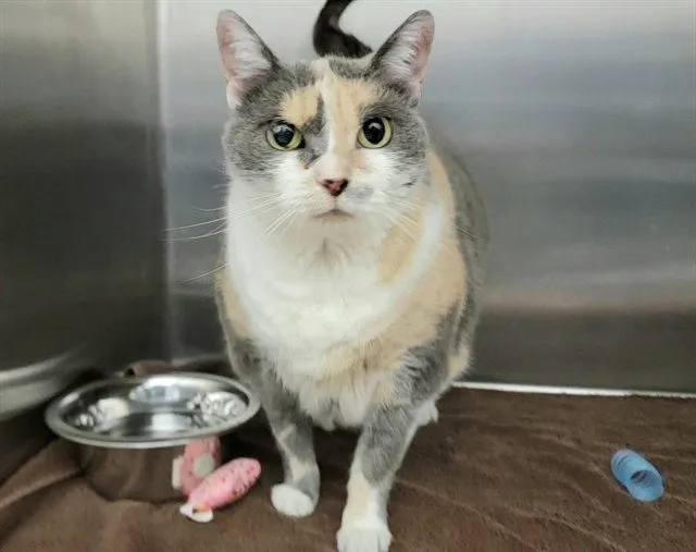 Lily Marie - Photo 1