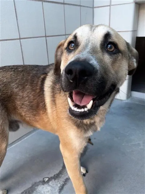 Bartholomew - Photo 1