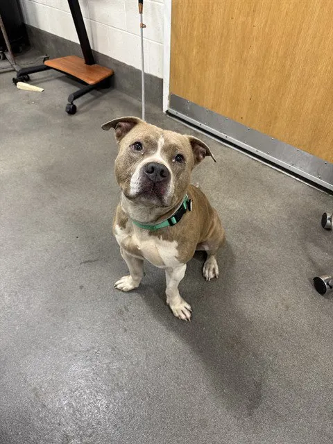 School Boy - Photo 1