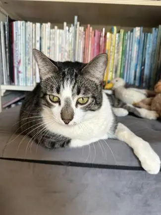 Little John thumbnail 2