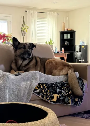 Achilles thumbnail 4