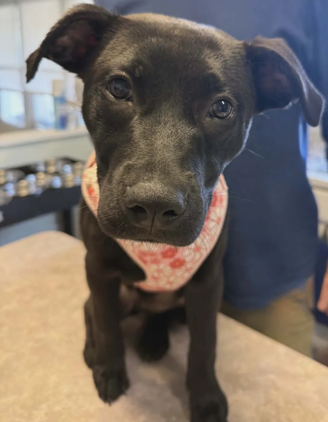 Wednesday Addams - Photo 1