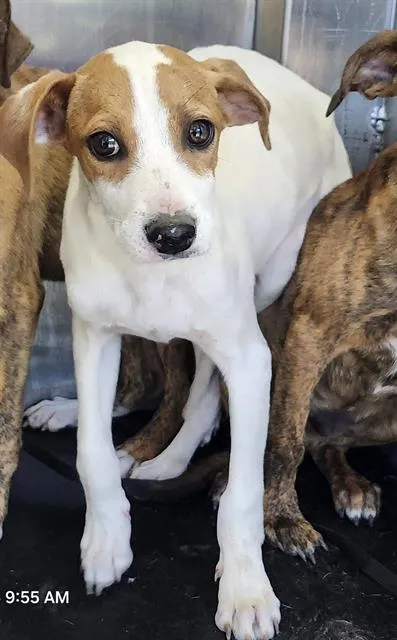 Jonny Bravo - Photo 1