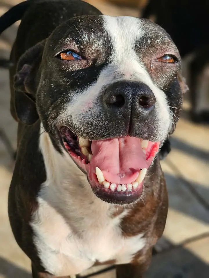 Pinky Grace - Photo 1