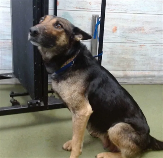 Mama Sally - Photo 1