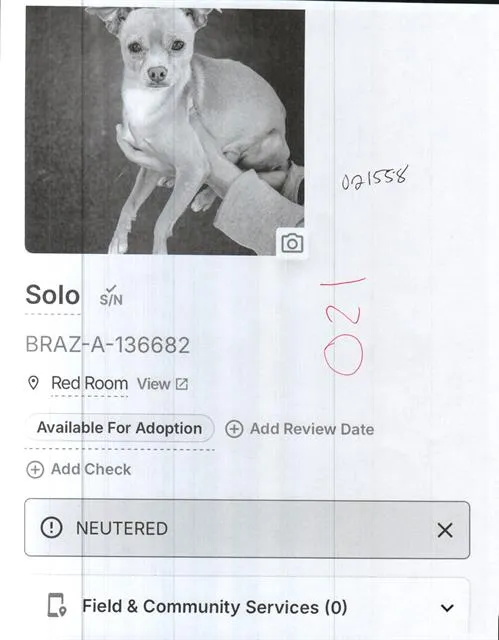 Solo - Photo 1