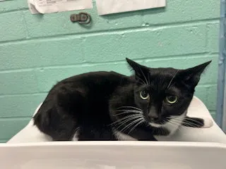 Velma-Coco - Photo 1