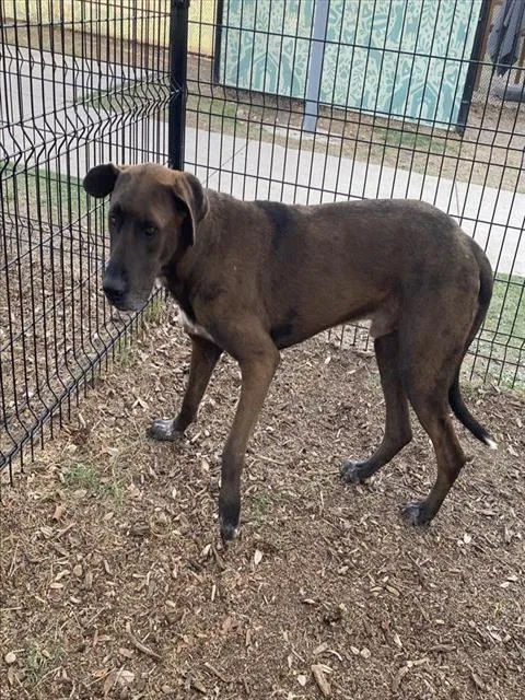 Scuttlebutt - Photo 1