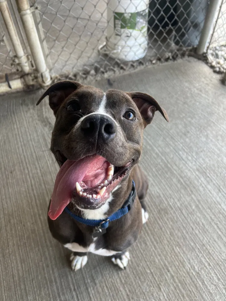 Daisy Leah - Photo 1