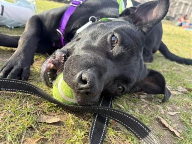 Little Man - Photo 1