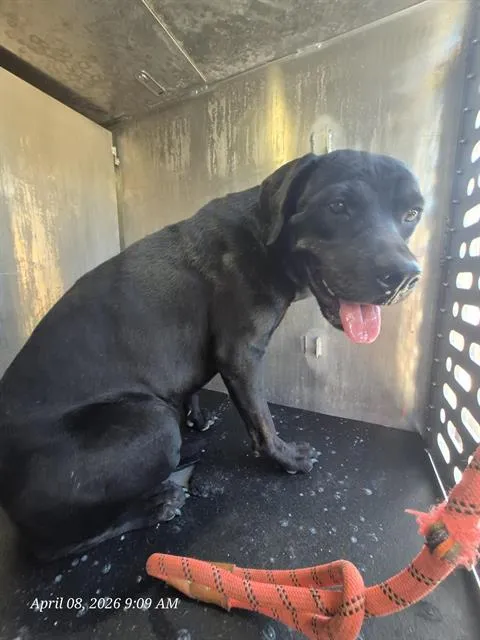 Cinderella - Photo 1