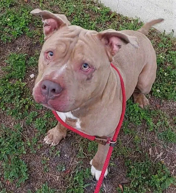 Hubbabubba - Photo 1