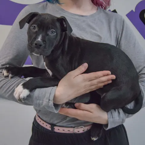 Treasure thumbnail 2